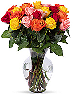 Flowers - Roses