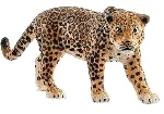 Jaguar from Wild Life Series