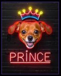 Picture of Prince