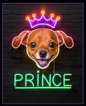 Picture of Prince